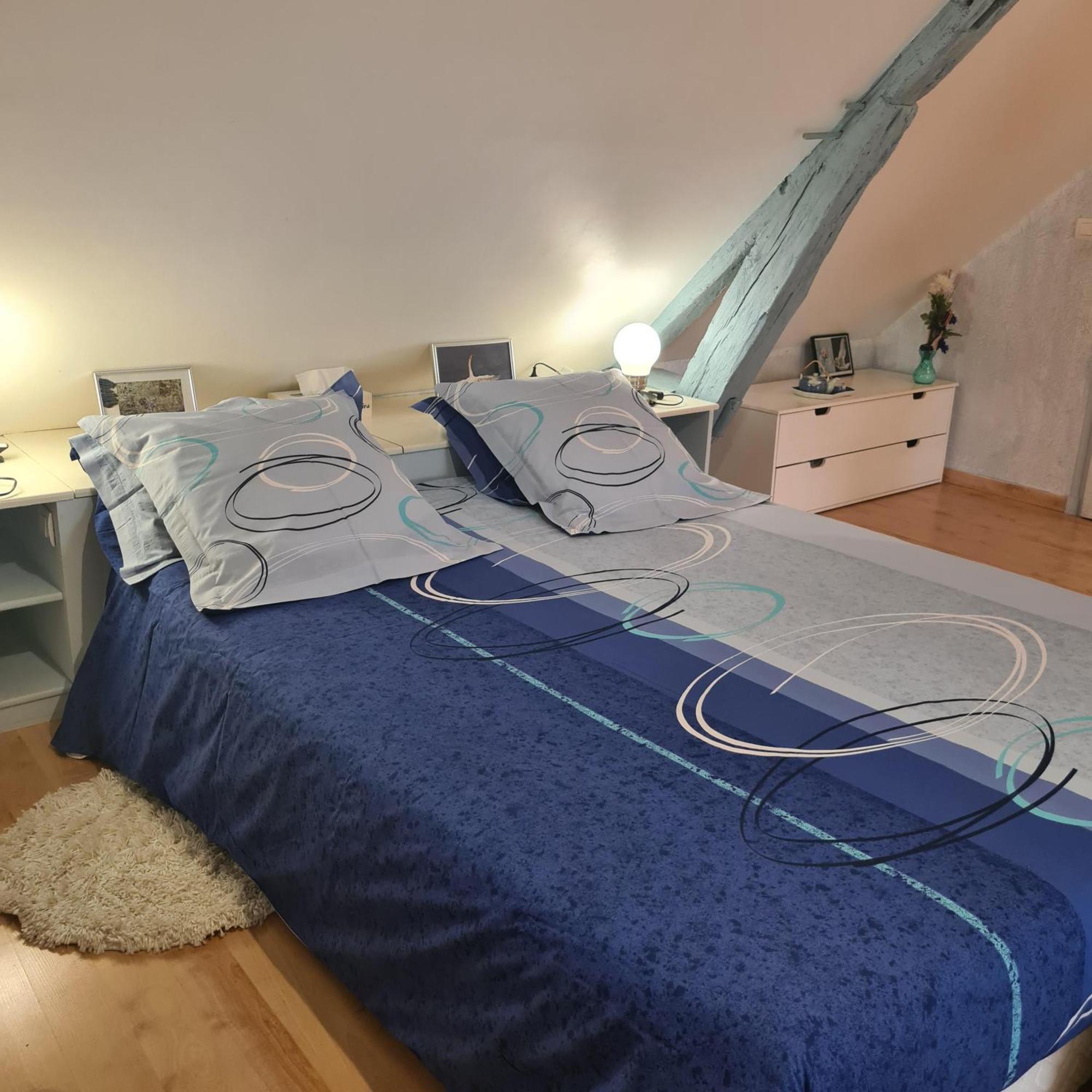 Chambres D'Hotes La Queriere Mur-de-Sologne Pokoj fotografie